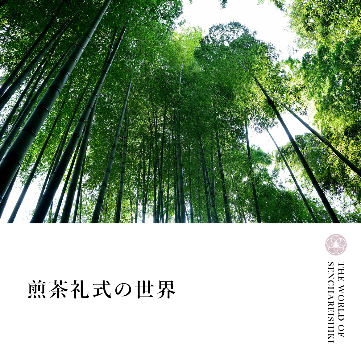 バナー：煎茶礼式の世界