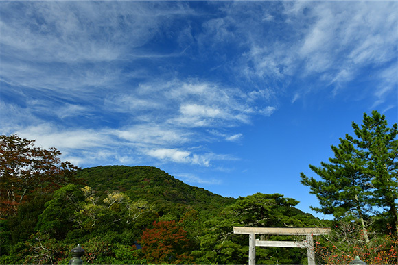 第63回　伊勢皇大神宮献茶式